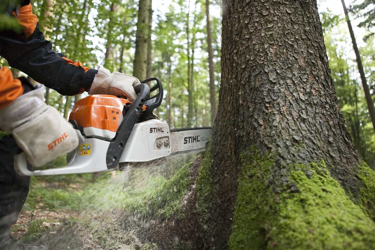 Exploring The Stihl Ms Cm Chainsaw A Detailed Parts Diagram